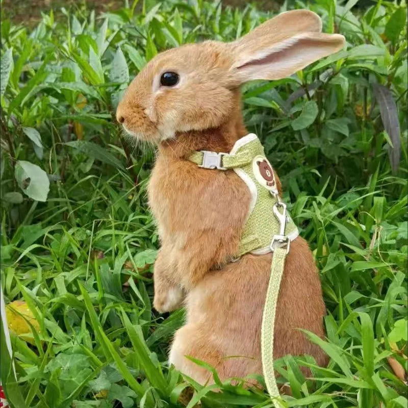Newest Cute Rabbit Harness and Leash Set Bunny Pet Accessories Vest Harnesses Rabbit Leashes for Outdoor Walking Pets Supplies - Slobuy