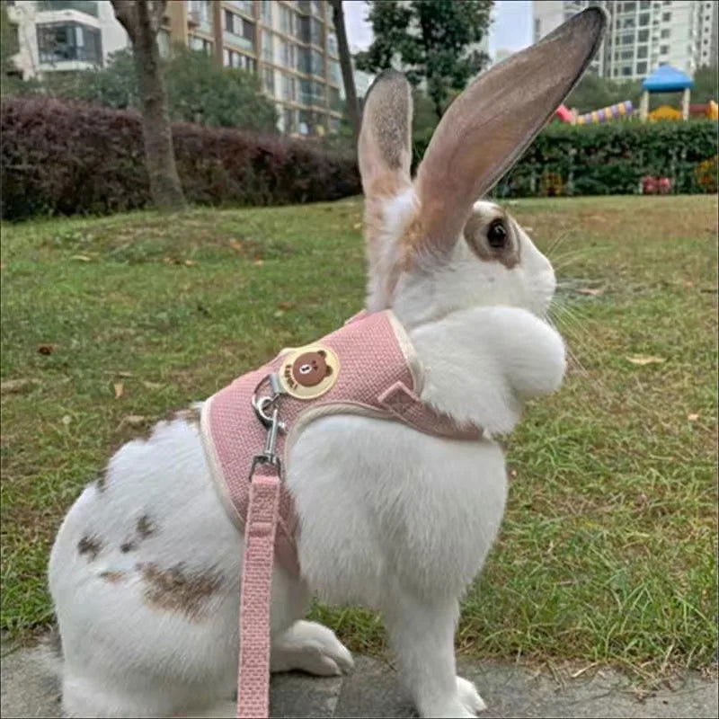 Newest Cute Rabbit Harness and Leash Set Bunny Pet Accessories Vest Harnesses Rabbit Leashes for Outdoor Walking Pets Supplies - Slobuy