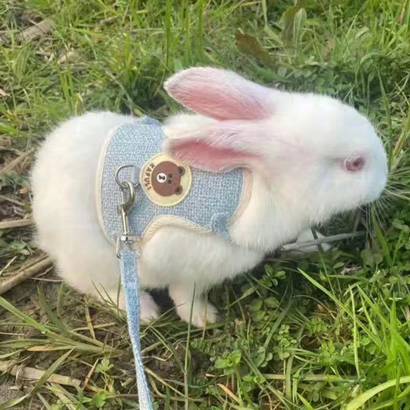 Newest Cute Rabbit Harness and Leash Set Bunny Pet Accessories Vest Harnesses Rabbit Leashes for Outdoor Walking Pets Supplies - Slobuy