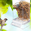 No Mess Bird Feeders Automatic Parrot Feeder Drinker Acrylic Seed Food Container Cage Accessories For Small And Medium Parakeets - Slobuy