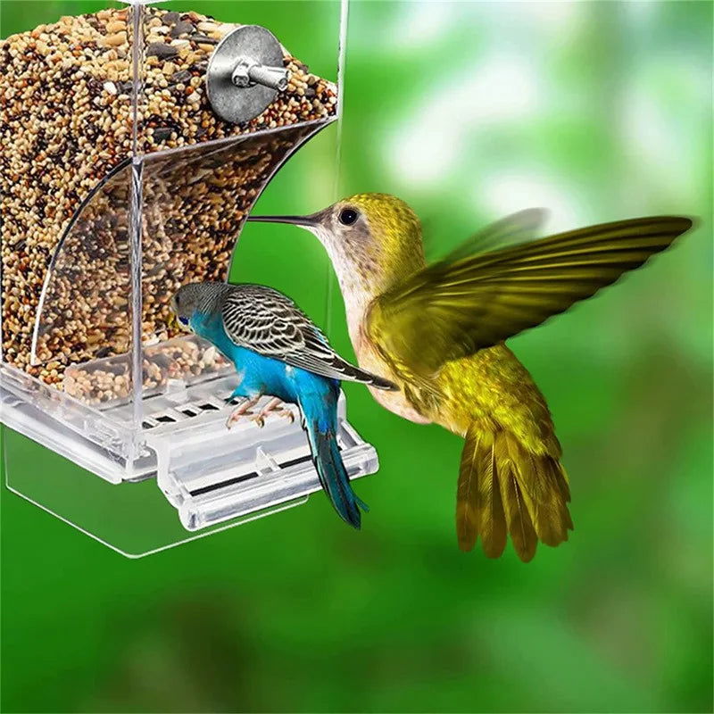 No Mess Bird Feeders Automatic Parrot Feeder Drinker Acrylic Seed Food Container Cage Accessories For Small And Medium Parakeets - Slobuy
