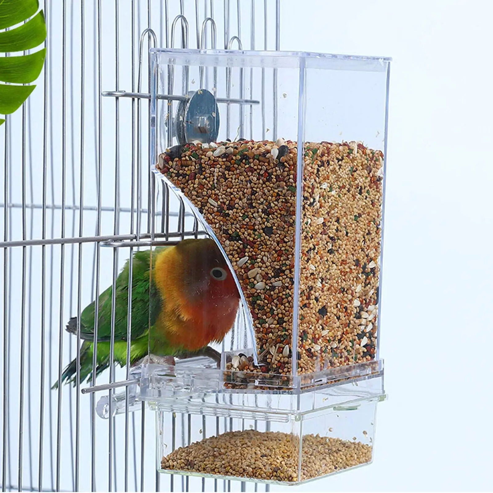 No Mess Bird Feeders Automatic Parrot Feeder Drinker Acrylic Seed Food Container Cage Accessories For Small And Medium Parakeets - Slobuy