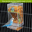 No Mess Bird Feeders Automatic Parrot Feeder Drinker Acrylic Seed Food Container Cage Accessories For Small And Medium Parakeets - Slobuy