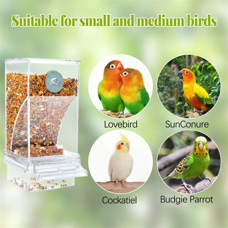No Mess Bird Feeders Automatic Parrot Feeder Drinker Acrylic Seed Food Container Cage Accessories For Small And Medium Parakeets - Slobuy
