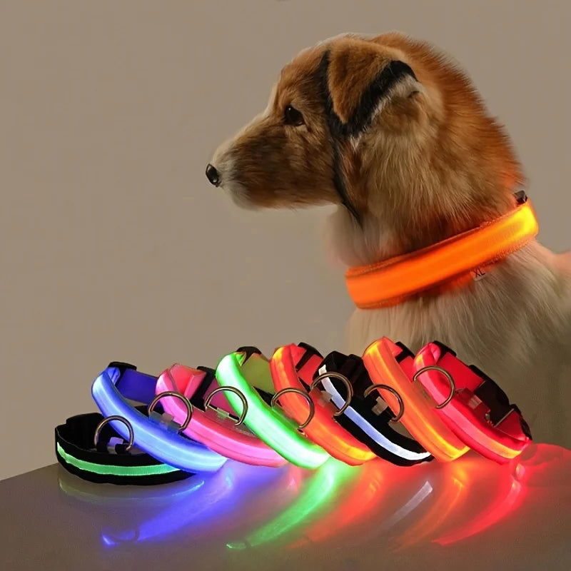 Nylon LED Night Safety Flashing Glow In The Dark Dog Leash Dogs Luminous Fluorescent Pet Dog Collar - Slobuy