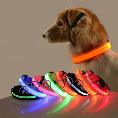 Nylon LED Night Safety Flashing Glow In The Dark Dog Leash Dogs Luminous Fluorescent Pet Dog Collar - Slobuy