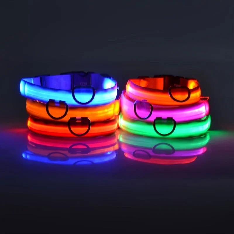 Nylon LED Night Safety Flashing Glow In The Dark Dog Leash Dogs Luminous Fluorescent Pet Dog Collar - Slobuy