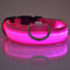 Nylon LED Night Safety Flashing Glow In The Dark Dog Leash Dogs Luminous Fluorescent Pet Dog Collar - Slobuy
