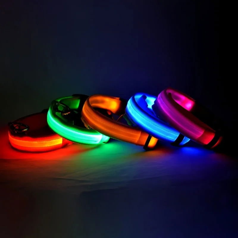 Nylon LED Night Safety Flashing Glow In The Dark Dog Leash Dogs Luminous Fluorescent Pet Dog Collar - Slobuy