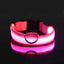 Nylon LED Night Safety Flashing Glow In The Dark Dog Leash Dogs Luminous Fluorescent Pet Dog Collar - Slobuy