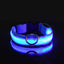 Nylon LED Night Safety Flashing Glow In The Dark Dog Leash Dogs Luminous Fluorescent Pet Dog Collar - Slobuy