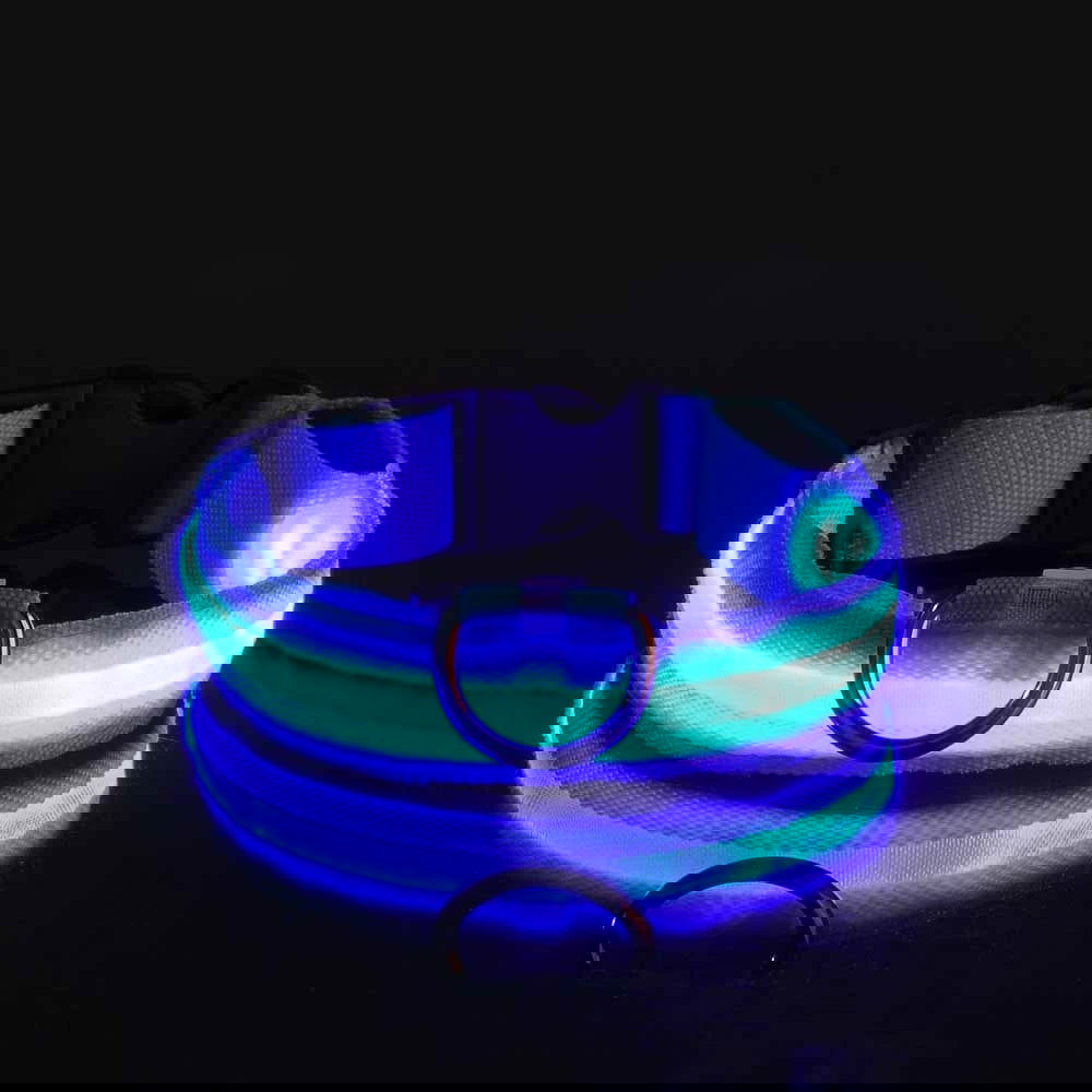 Nylon LED Night Safety Flashing Glow In The Dark Dog Leash Dogs Luminous Fluorescent Pet Dog Collar - Slobuy