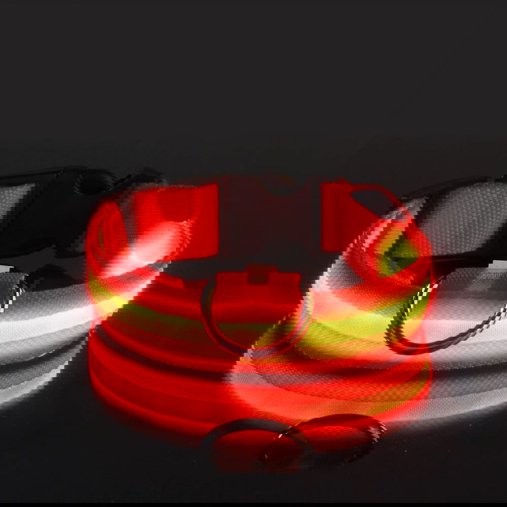 Nylon LED Night Safety Flashing Glow In The Dark Dog Leash Dogs Luminous Fluorescent Pet Dog Collar - Slobuy