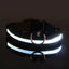 Nylon LED Night Safety Flashing Glow In The Dark Dog Leash Dogs Luminous Fluorescent Pet Dog Collar - Slobuy