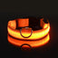 Nylon LED Night Safety Flashing Glow In The Dark Dog Leash Dogs Luminous Fluorescent Pet Dog Collar - Slobuy