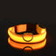 Nylon LED Night Safety Flashing Glow In The Dark Dog Leash Dogs Luminous Fluorescent Pet Dog Collar - Slobuy