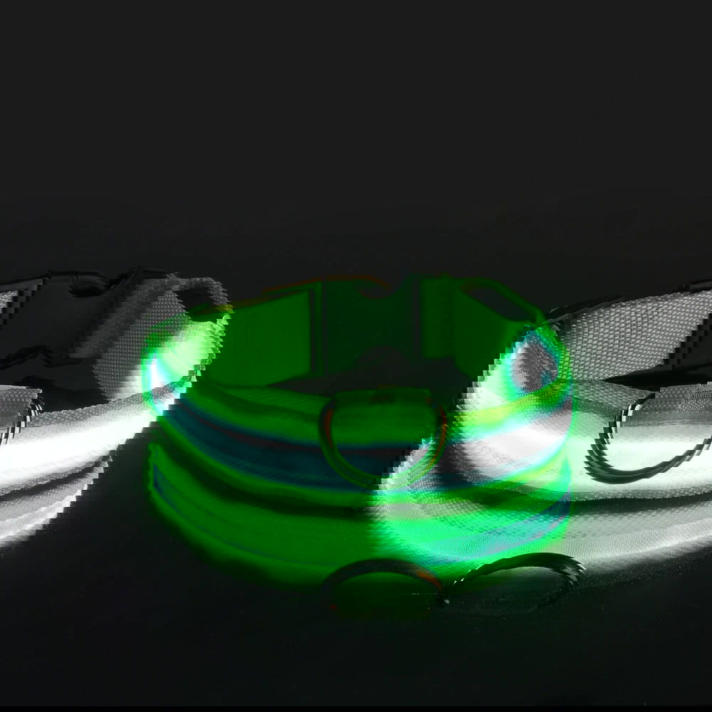Nylon LED Night Safety Flashing Glow In The Dark Dog Leash Dogs Luminous Fluorescent Pet Dog Collar - Slobuy