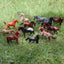 Oenux Montessori Miniature Lion Shark Horse Dinosaur Animals Model Set Action Figures Figurine Zoo Cute Education Kids Toy Gift - Slobuy
