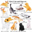 Oenux Montessori Miniature Lion Shark Horse Dinosaur Animals Model Set Action Figures Figurine Zoo Cute Education Kids Toy Gift - Slobuy