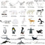Oenux Montessori Miniature Lion Shark Horse Dinosaur Animals Model Set Action Figures Figurine Zoo Cute Education Kids Toy Gift - Slobuy