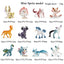 Oenux Montessori Miniature Lion Shark Horse Dinosaur Animals Model Set Action Figures Figurine Zoo Cute Education Kids Toy Gift - Slobuy