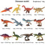 Oenux Montessori Miniature Lion Shark Horse Dinosaur Animals Model Set Action Figures Figurine Zoo Cute Education Kids Toy Gift - Slobuy