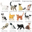 Oenux Montessori Miniature Lion Shark Horse Dinosaur Animals Model Set Action Figures Figurine Zoo Cute Education Kids Toy Gift - Slobuy
