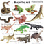 Oenux Montessori Miniature Lion Shark Horse Dinosaur Animals Model Set Action Figures Figurine Zoo Cute Education Kids Toy Gift - Slobuy