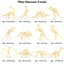 Oenux Montessori Miniature Lion Shark Horse Dinosaur Animals Model Set Action Figures Figurine Zoo Cute Education Kids Toy Gift - Slobuy