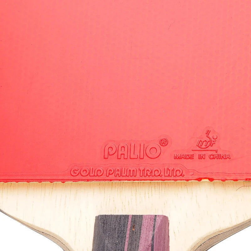 Original PALIO 3 Stars Carbon Table Tennis Racket with CJ8000 Rubber Loop Offensive Spin Attack Ping Pong Bat with Bag - Slobuy