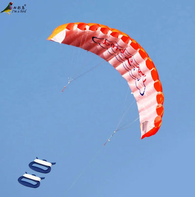 Outdoor Fun Sports Power Dual Line Stunt Parafoil Parachute Rainbow Sports Beach Kite For Beginner - Slobuy