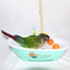 Parrot Automatic Bathtub Blue Plastic Cute Parakeet Lovebird Feeder Bowl Bird Accessories Household Supplies - Slobuy