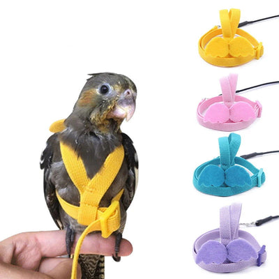 Parrot Flying Harness Leash Suit Pet Bird Outdoor Flight Training Rope Cockatiel Supplies Macaw Accessories  Stuff For Budgie - Slobuy