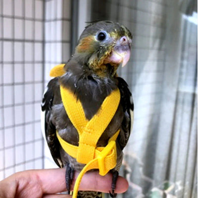 Parrot Flying Harness Leash Suit Pet Bird Outdoor Flight Training Rope Cockatiel Supplies Macaw Accessories  Stuff For Budgie - Slobuy