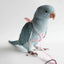 Parrot Flying Harness Leash Suit Pet Bird Outdoor Flight Training Rope Cockatiel Supplies Macaw Accessories  Stuff For Budgie - Slobuy