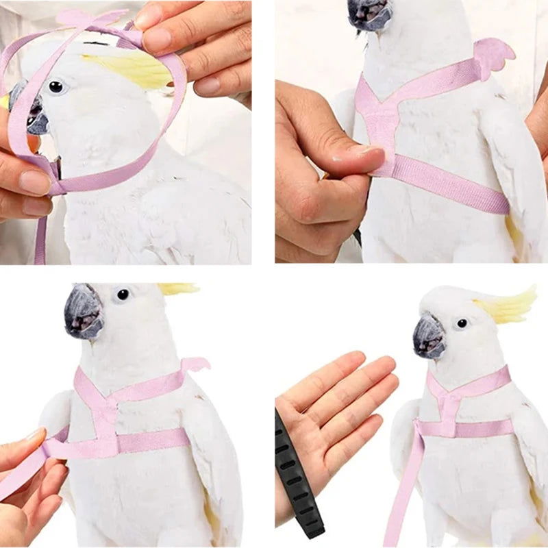 Parrot Flying Harness Leash Suit Pet Bird Outdoor Flight Training Rope Cockatiel Supplies Macaw Accessories  Stuff For Budgie - Slobuy
