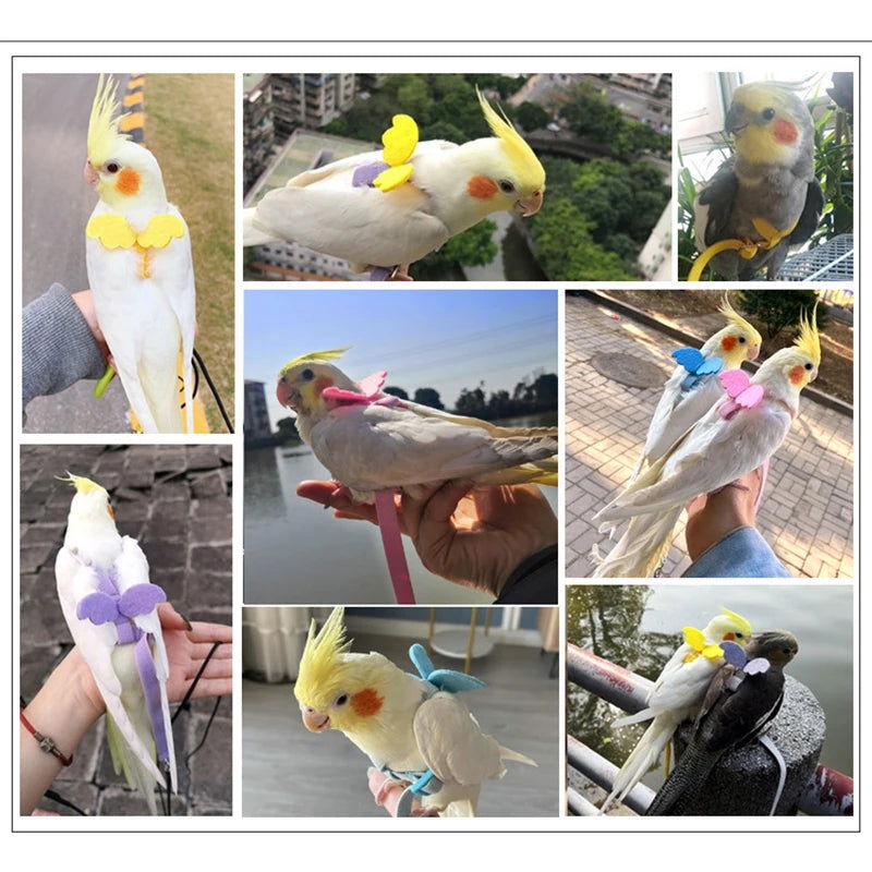 Parrot Flying Harness Leash Suit Pet Bird Outdoor Flight Training Rope Cockatiel Supplies Macaw Accessories  Stuff For Budgie - Slobuy