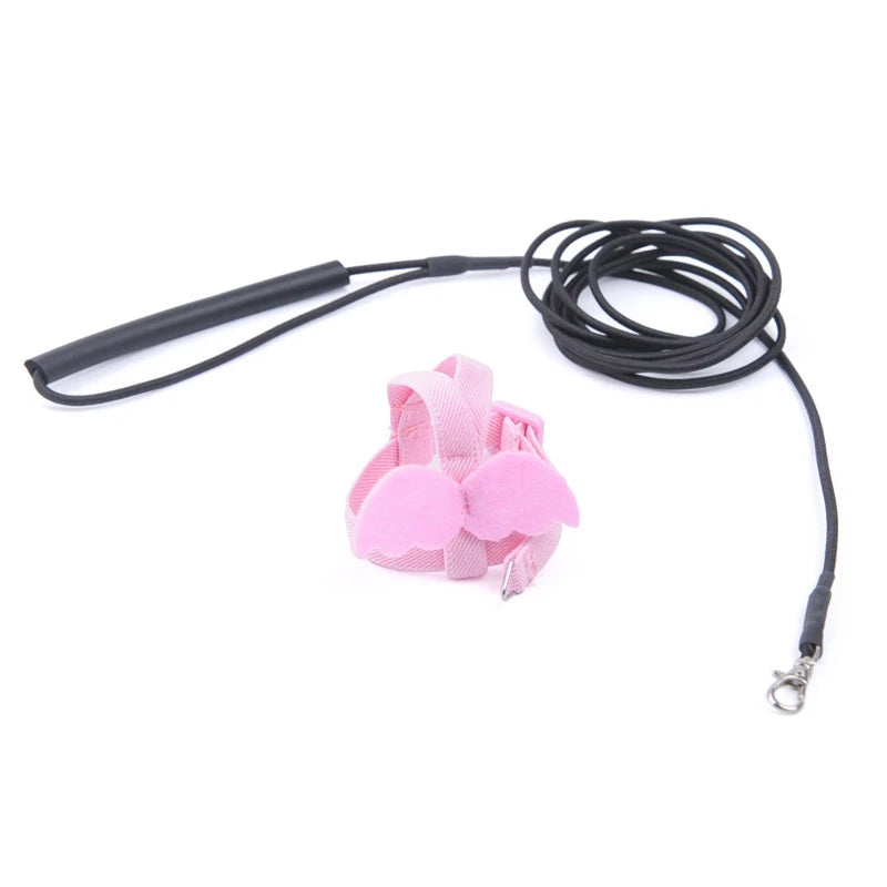 Parrot Flying Harness Leash Suit Pet Bird Outdoor Flight Training Rope Cockatiel Supplies Macaw Accessories  Stuff For Budgie - Slobuy