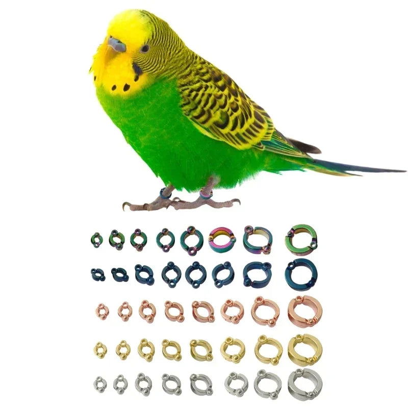 Parrot Foot Rings Metal Pet Bird Leg Rings Outdoor Fly Training Activity Anti-Lost Opening Clip Leash Accessories 4-15mm - Slobuy