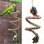 Parrot Toy Wicker Rope Hanging Braided Budgie Chew Bird Cage Cockatiel Toy Pet Stand Training Accessories Bite Swing Supplies - Slobuy