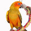 Parrot Toy Wicker Rope Hanging Braided Budgie Chew Bird Cage Cockatiel Toy Pet Stand Training Accessories Bite Swing Supplies - Slobuy