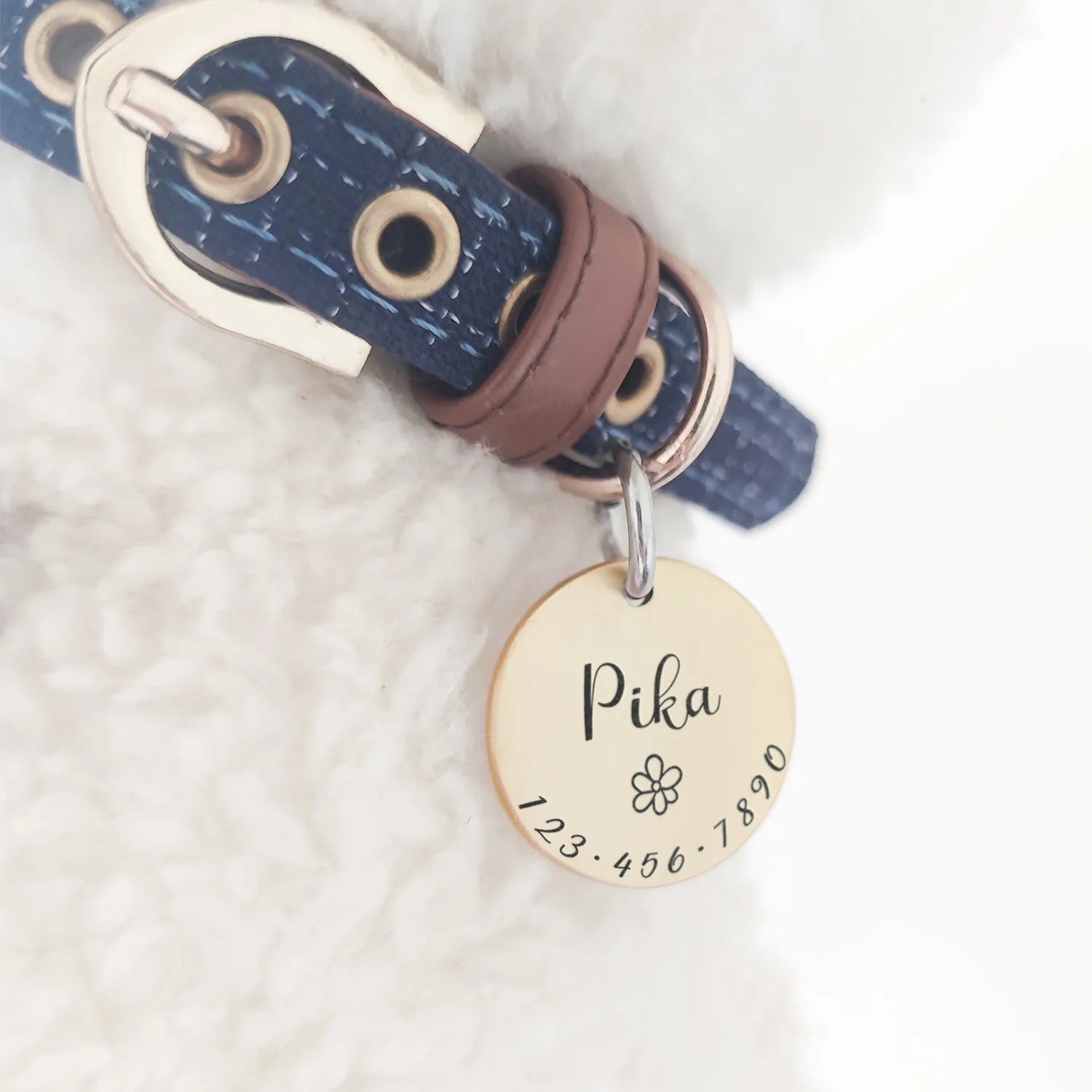 Personalized Pet Cat Dog ID Tag Collar Accessories MW001 Custom Engraved Necklace Chain Charm Supplies For Dog Tag Name Products - Slobuy