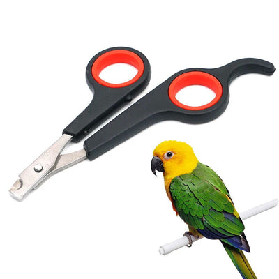 Pet Bird Parrot Small Animals Accessory Grooming Tool Nail Scissors Clipper Black And Red - Slobuy