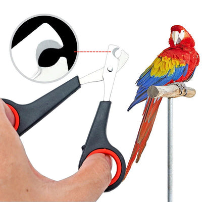 Pet Bird Parrot Small Animals Accessory Grooming Tool Nail Scissors Clipper Black And Red - Slobuy