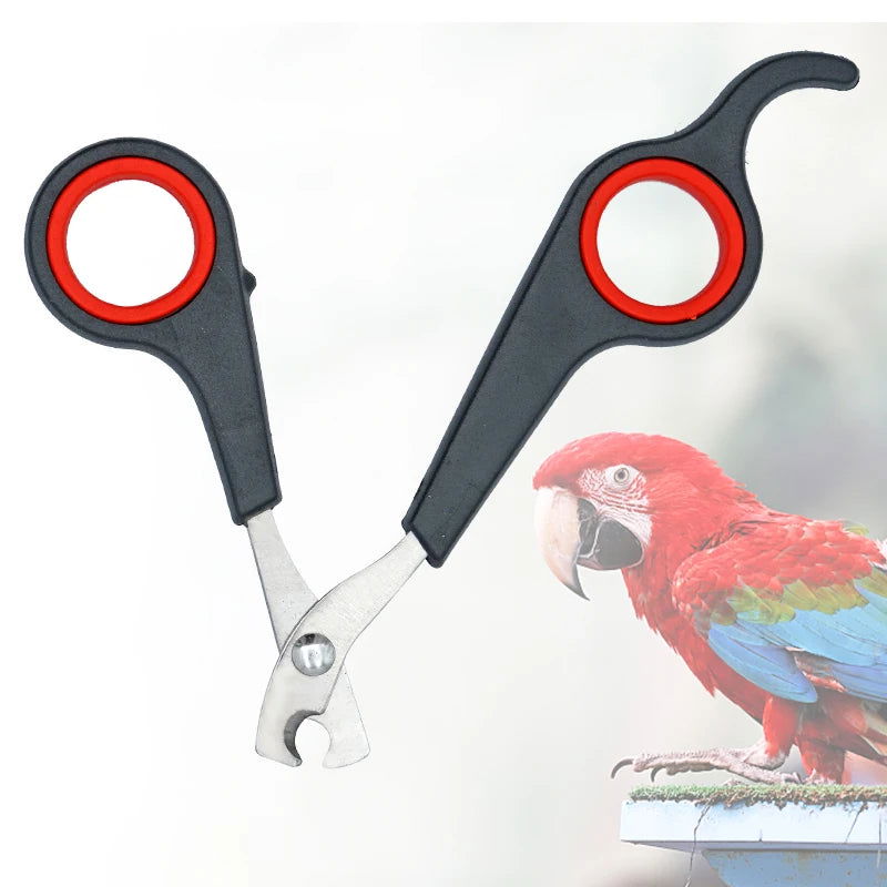 Pet Bird Parrot Small Animals Accessory Grooming Tool Nail Scissors Clipper Black And Red - Slobuy