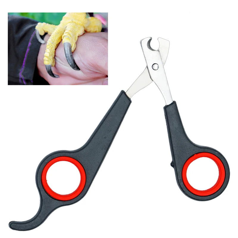 Pet Bird Parrot Small Animals Accessory Grooming Tool Nail Scissors Clipper Black And Red - Slobuy