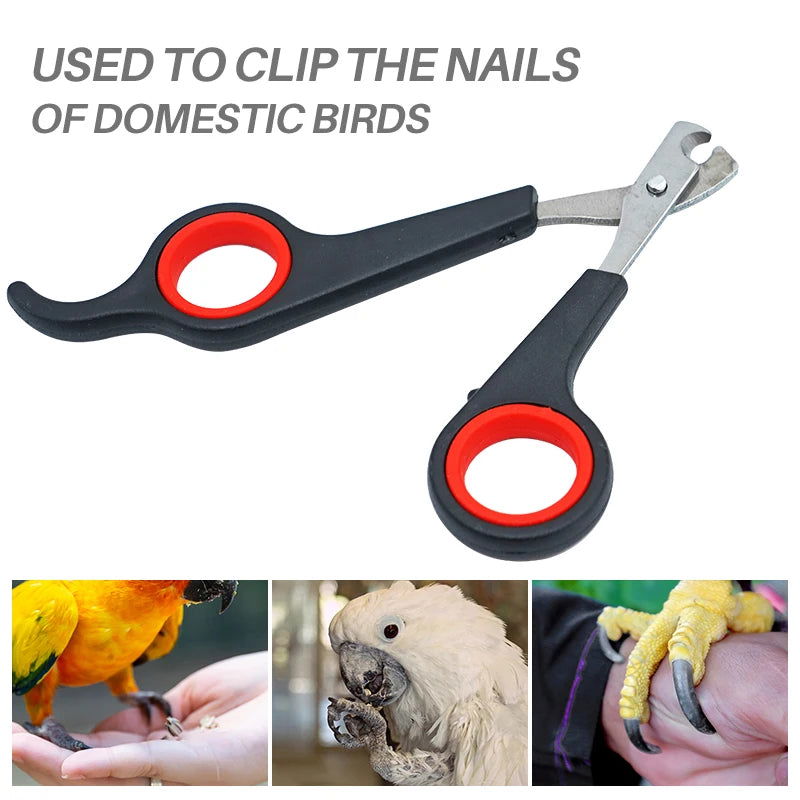 Pet Bird Parrot Small Animals Accessory Grooming Tool Nail Scissors Clipper Black And Red - Slobuy