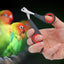Pet Bird Parrot Small Animals Accessory Grooming Tool Nail Scissors Clipper Black And Red - Slobuy
