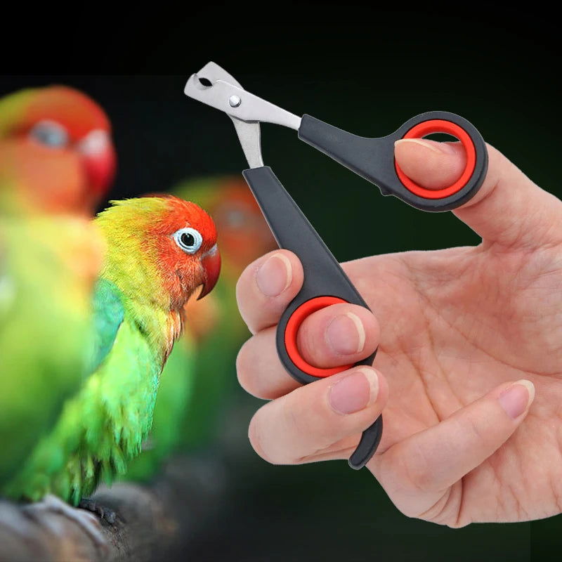Pet Bird Parrot Small Animals Accessory Grooming Tool Nail Scissors Clipper Black And Red - Slobuy