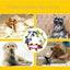 Pet Chew Toys Interactive Cartoon Animal Plush Alligator Shape Dog Sound Toy Gnawing Grinding Teeth Training Supplies - Slobuy